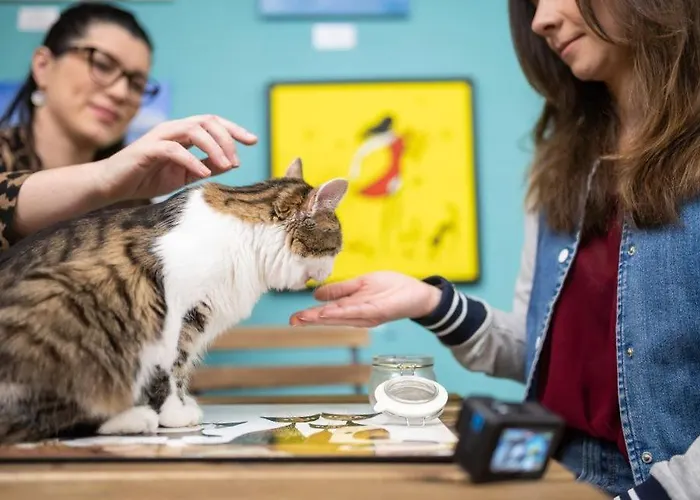 Vadász Street Budapest