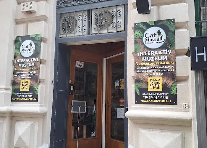 Vadász Street Appartamento